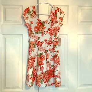 Floral Skater Dress